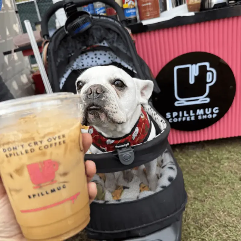 Spillmug coffee bar at The Big Woof Festival